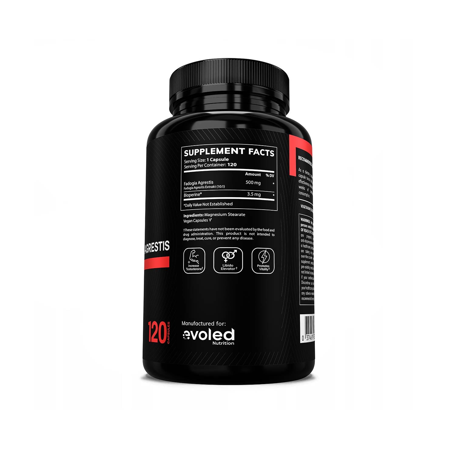 Evoled Nutrition Fadogia Agrestis