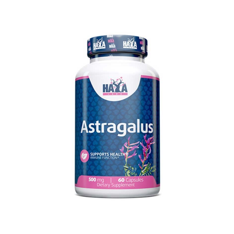 Haya Labs Astragalus 500mg / 60 caps - getboost3d